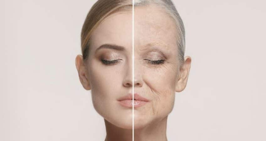 Wie und warum altert unsere Haut – kann ich etwas dagegen tun?